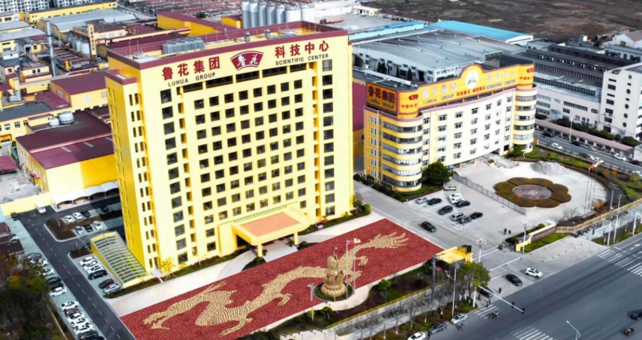 魯花：攜手種植農(nóng)戶舉行慶豐收儀式 以實際行動助力鄉(xiāng)村振興